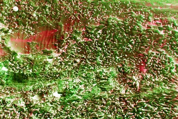 AP 142C1